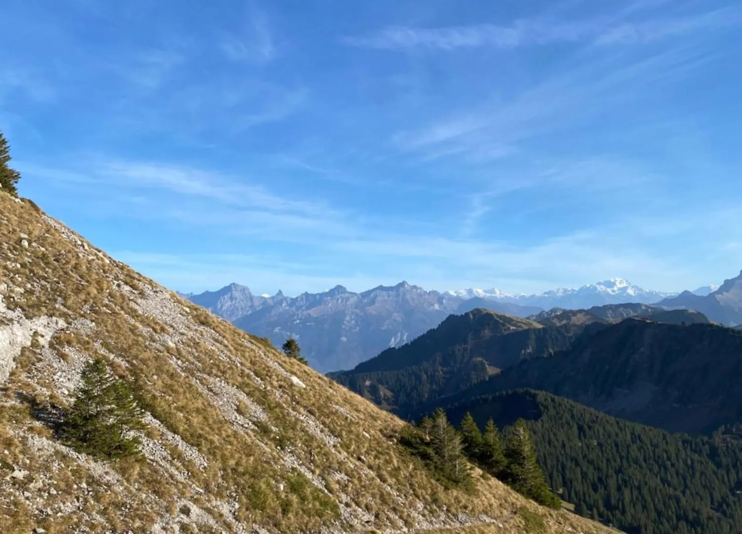 Hotel Le Roitelet Châtel Francia